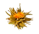 Flowering Tea Ball 