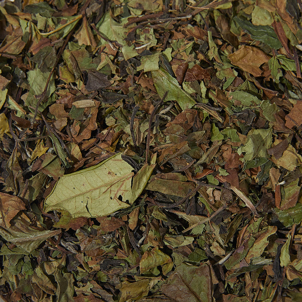 White Tea - Tin Loose Leaf Organic