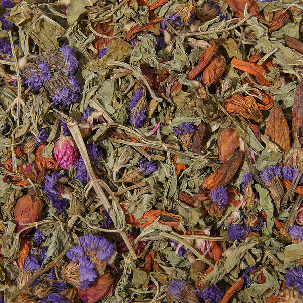 Wild Botanical Mint Tea Loose Leaf Tin - Limited Edition