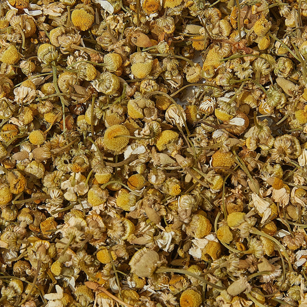chamomile loose leaf tea