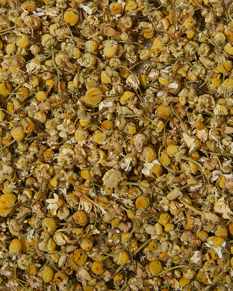 chamomile flowers wholesale bulk