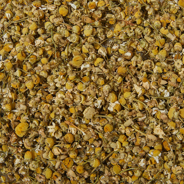 chamomile flowers wholesale bulk