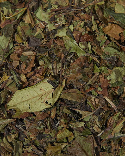 tea tonic raw white tea loose leaves